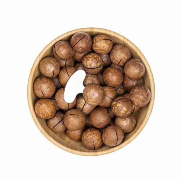 فندق ماکادمیا استرالیایی فله‌ای 100 گرمی