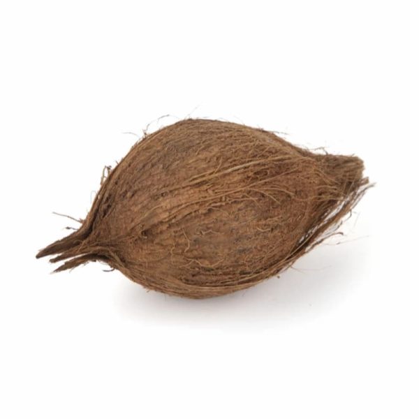 نارگیل هر عدد