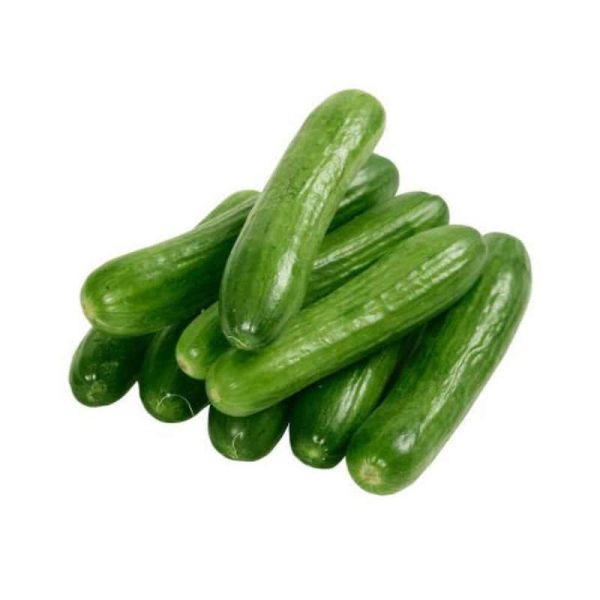 خیار محلی 500 گرم