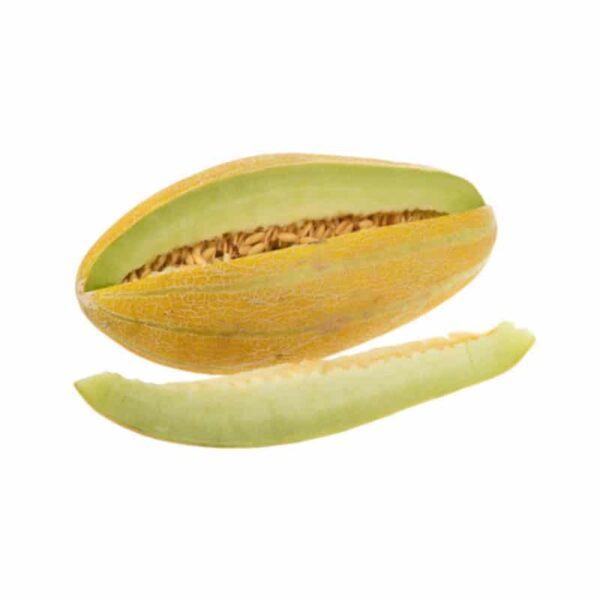 خربزه کوچک حدود 1 کیلوگرم