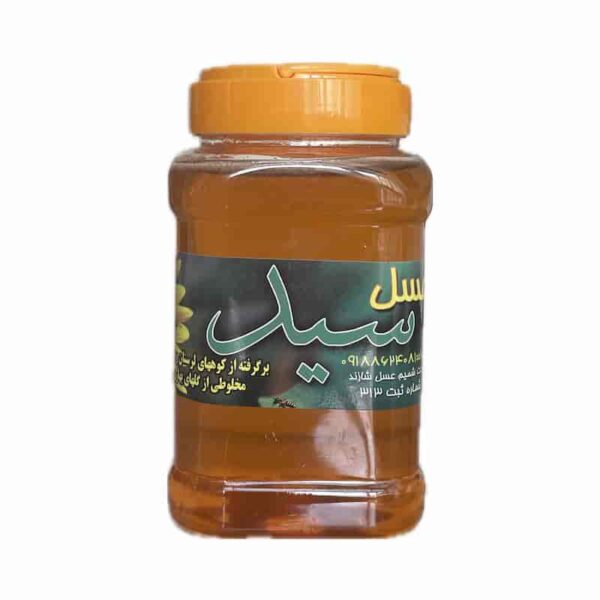 عسل بهاری سید 1 کیلوگرمی